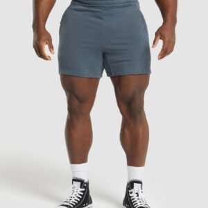 Power Washed 5" Shorts Titanium Blue